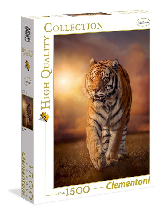 https://m.media-amazon.com/images/I/716dXhSn0FL.jpg
