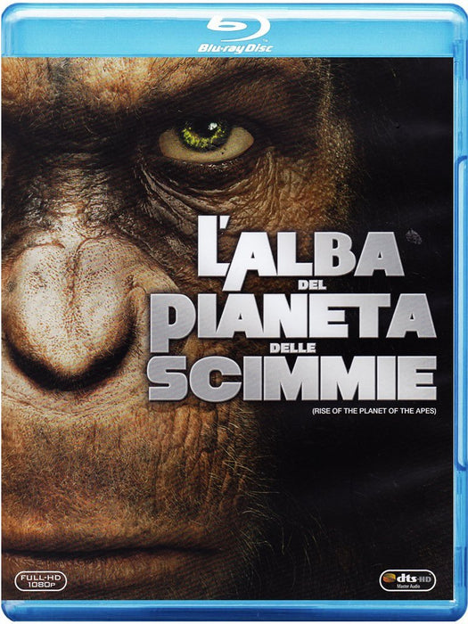 https://m.media-amazon.com/images/I/716doKBkQSL.jpg