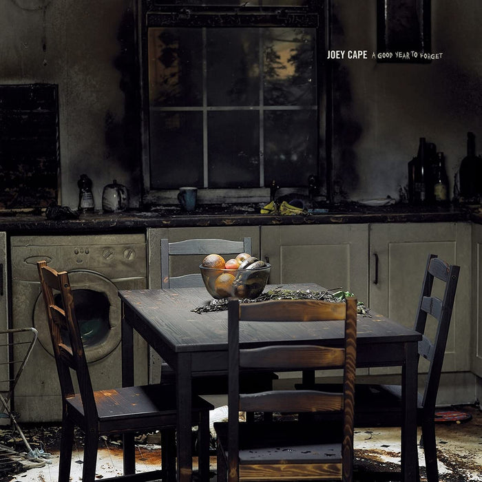 Joey Cape - A Good Year To Forget;
