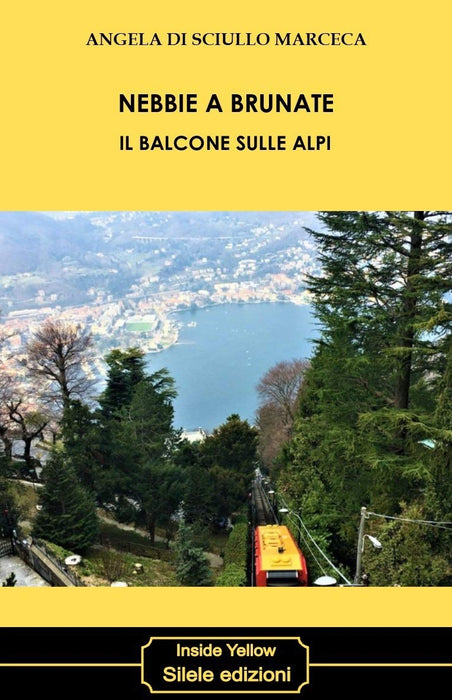 https://m.media-amazon.com/images/I/717-Hn4lfcL.jpg