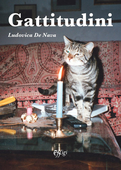 https://m.media-amazon.com/images/I/7170UrYhi2L.jpg