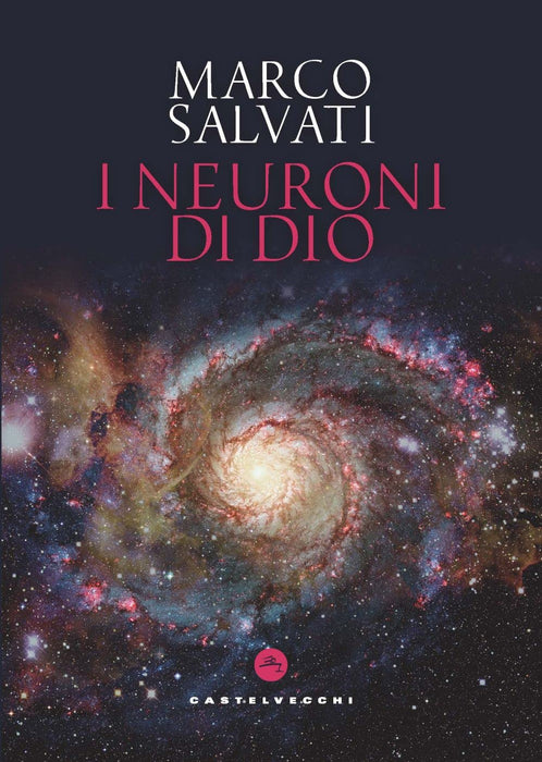 https://m.media-amazon.com/images/I/717+tg1vWUL.jpg