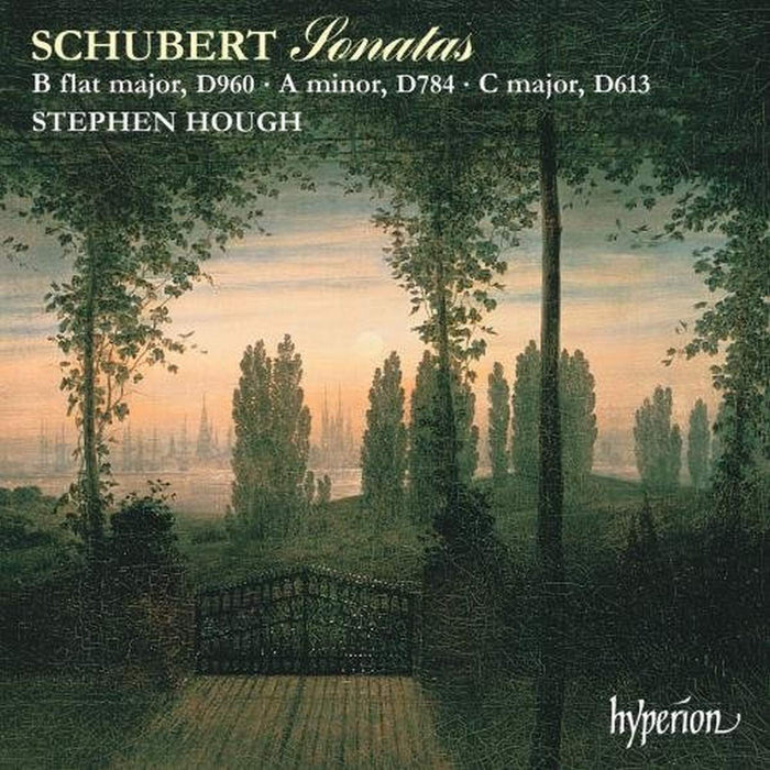 Franz Schubert - Sonatas D960, D784, D613;