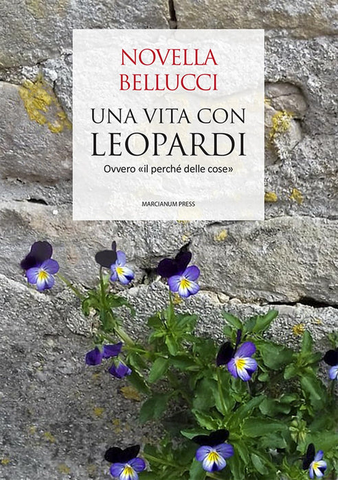 https://m.media-amazon.com/images/I/718jiUQ2cqL.jpg