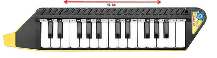 Bontempi 33 4262 - Clavietta 25 Tasti Con Valigetta E Metodo Musicale;