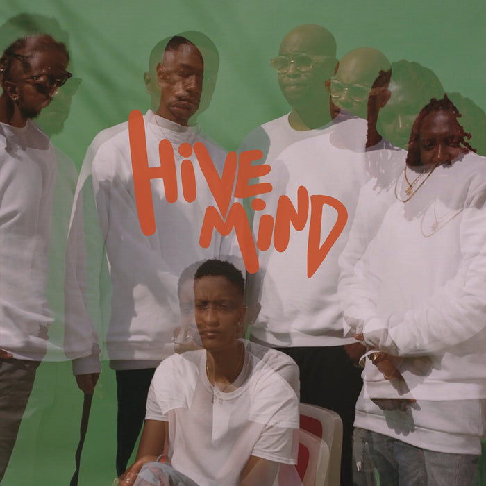 Internet (The) - Hive Mind (2 Lp);