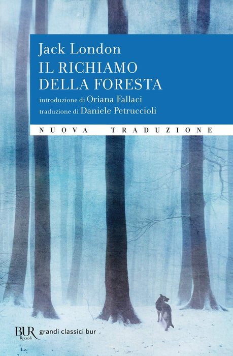 https://m.media-amazon.com/images/I/719pJ95zjeL.jpg