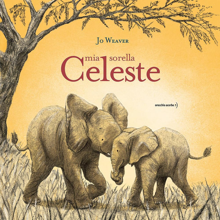 https://m.media-amazon.com/images/I/71ADp+rYOxL.jpg