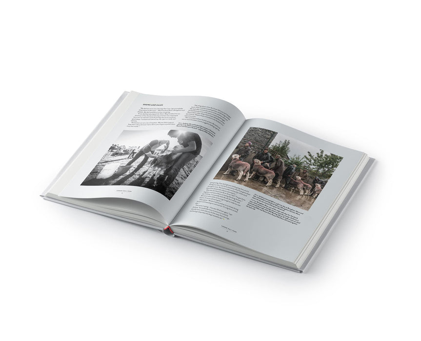 https://m.media-amazon.com/images/I/71AL6+wTSjL.jpg