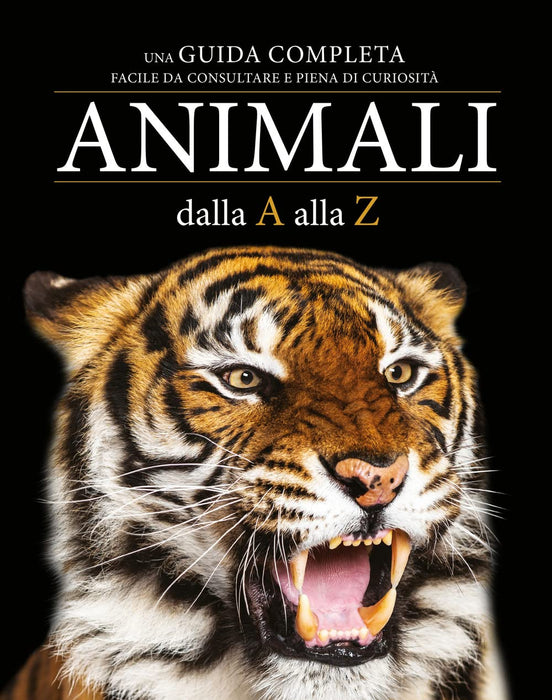 https://m.media-amazon.com/images/I/71BstwZboJL.jpg