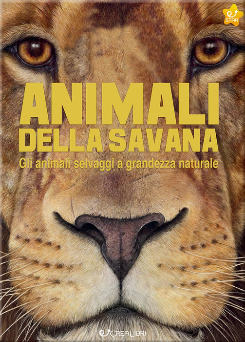 https://m.media-amazon.com/images/I/71CNOvD0GjL.jpg