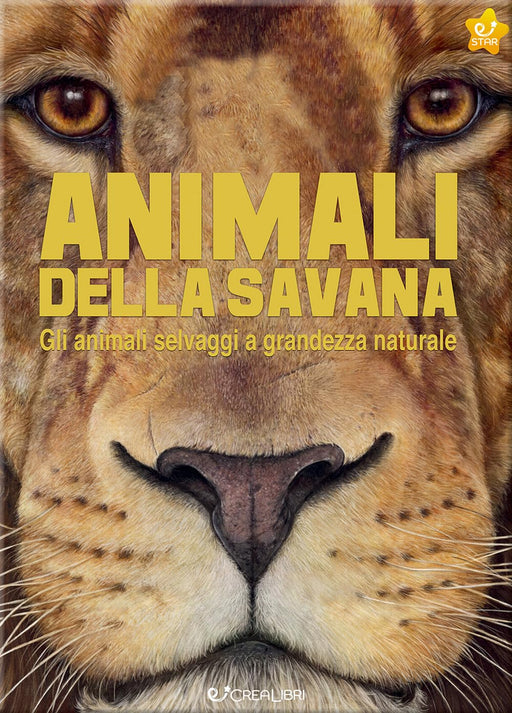 https://m.media-amazon.com/images/I/71CNOvD0GjL.jpg