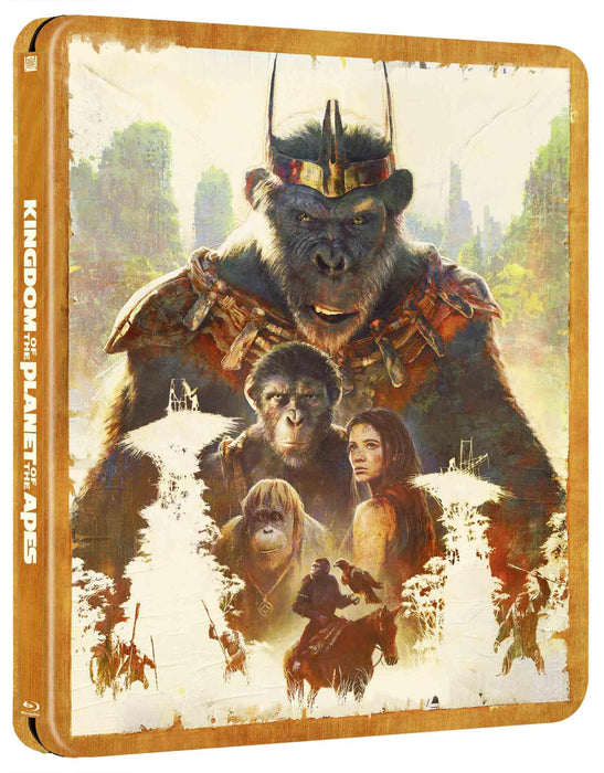 https://m.media-amazon.com/images/I/71CPNwbaoAL.jpg