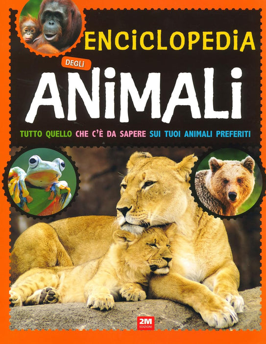 https://m.media-amazon.com/images/I/71Cb8aCMjqL.jpg