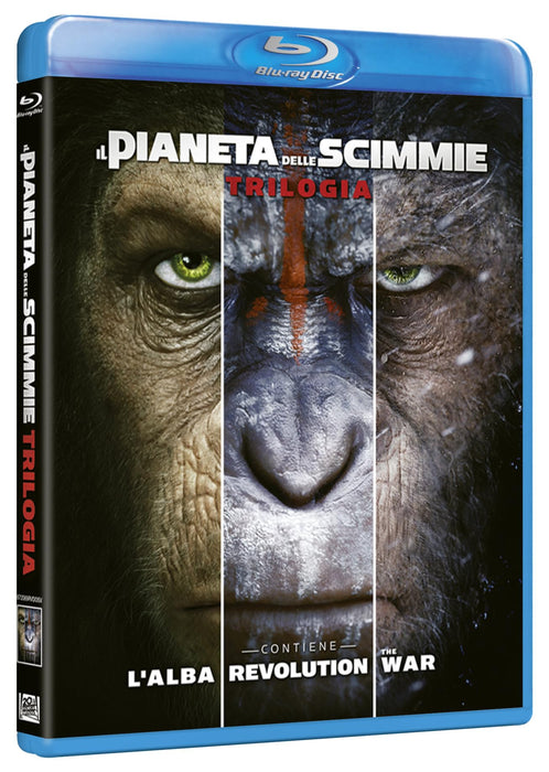 https://m.media-amazon.com/images/I/71Cu8Pt5p8L.jpg