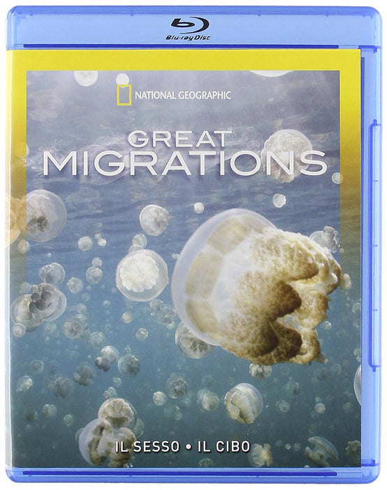 https://m.media-amazon.com/images/I/71CvvQCHhqL.jpg