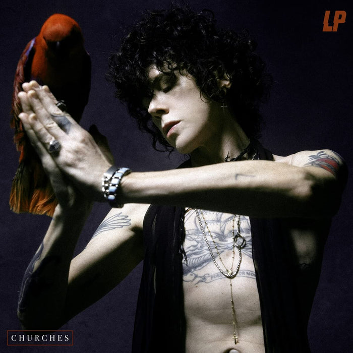 https://m.media-amazon.com/images/I/71D06nrkEnS.jpg