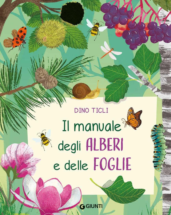 https://m.media-amazon.com/images/I/71DU5IcscyL.jpg