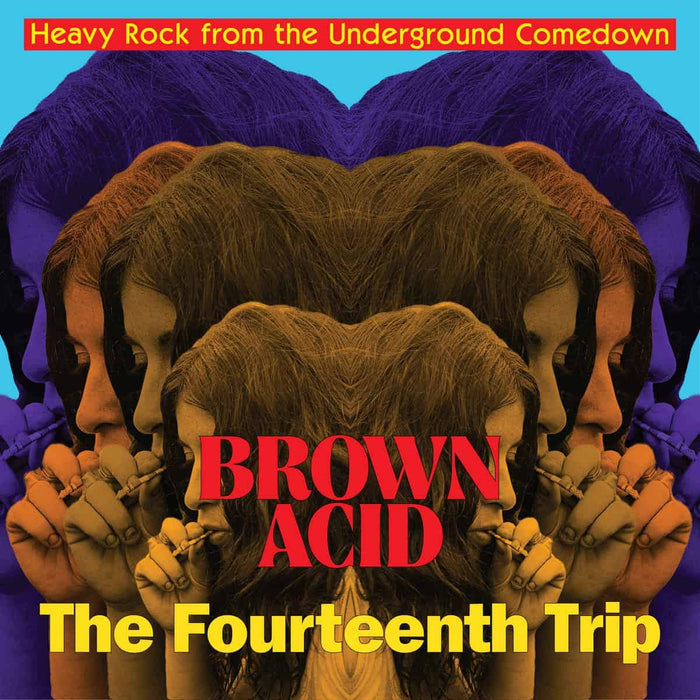 Brown Acid: The Fourteenth Trip (Heavy Rock From The Underground Comedown) / Various;