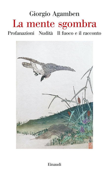 https://m.media-amazon.com/images/I/71F96t+h1JL.jpg