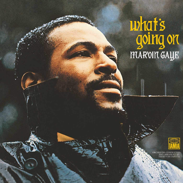 Marvin Gaye - What's Going On;