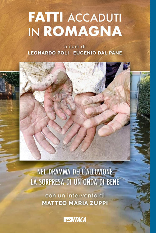 https://m.media-amazon.com/images/I/71Fejluh2cL.jpg