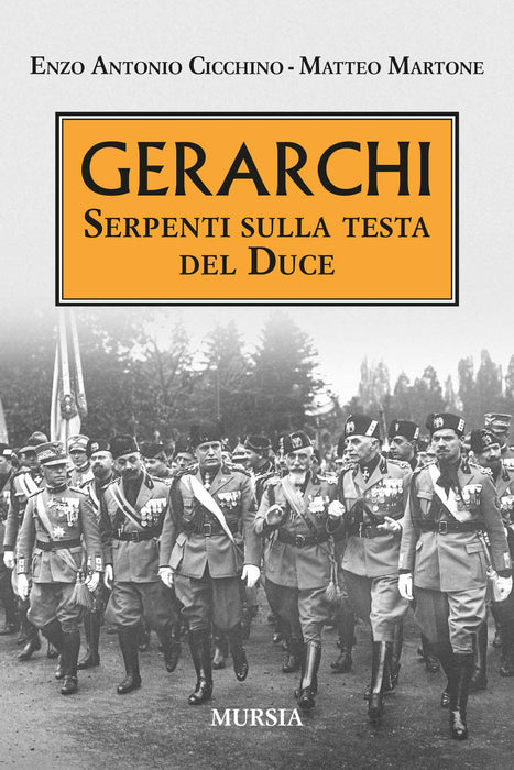 https://m.media-amazon.com/images/I/71Fpk1r+tUL.jpg