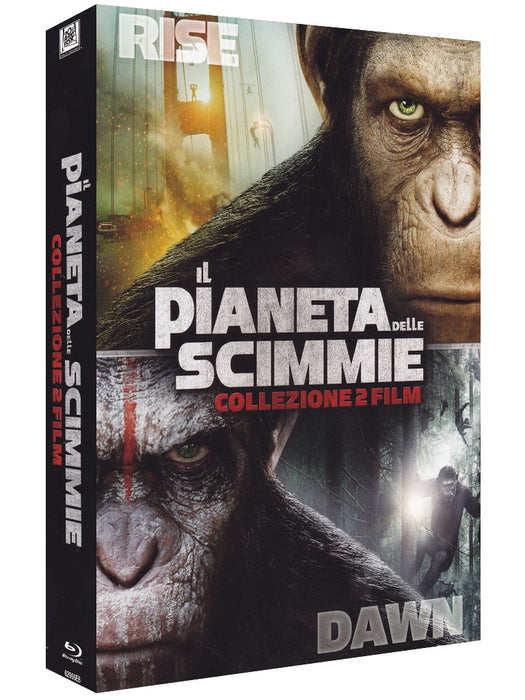 https://m.media-amazon.com/images/I/71HbYEtmMAL.jpg