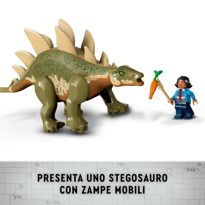 https://m.media-amazon.com/images/I/71HmZG7CFhL.jpg