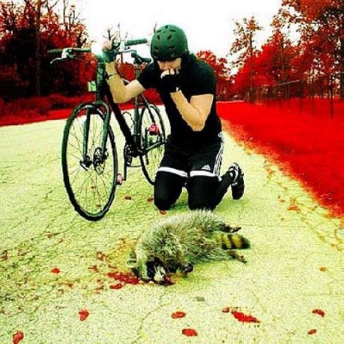 White Stripes (The) - The Denial Twist -2 Tracks-;