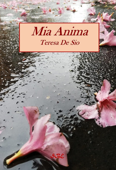 https://m.media-amazon.com/images/I/71IJb1qaT4L.jpg