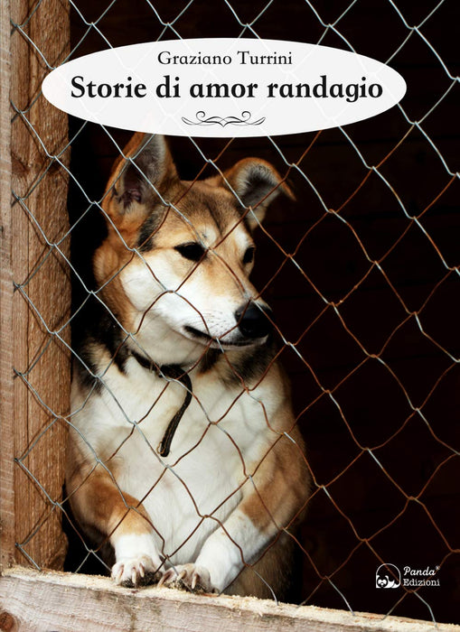 https://m.media-amazon.com/images/I/71Ilo9NHp3L.jpg
