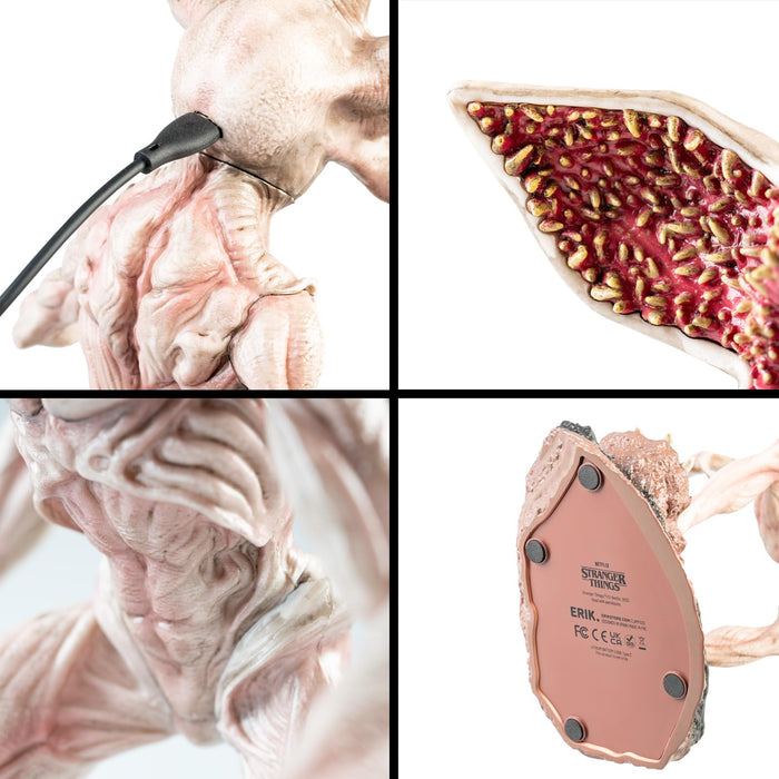https://m.media-amazon.com/images/I/71IuYoZfERL.jpg