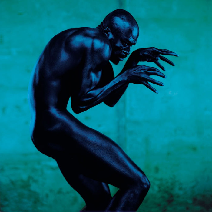 Seal - Human Being;