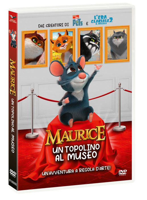 https://m.media-amazon.com/images/I/71Jmq8uJ5VL.jpg