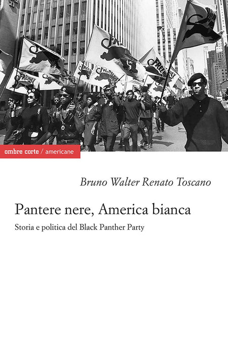https://m.media-amazon.com/images/I/71LT5pi1r0L.jpg