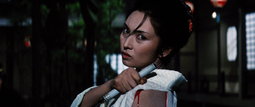 Complete Lady Snowblood (Criterion Collection) [Edizione: Stati Uniti];