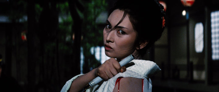 Complete Lady Snowblood (Criterion Collection) [Edizione: Stati Uniti];