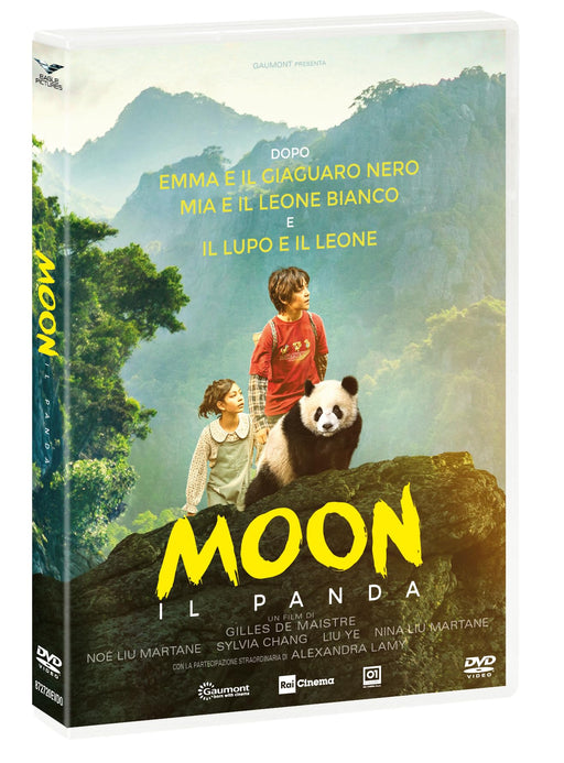 https://m.media-amazon.com/images/I/71MvRKvStAL.jpg