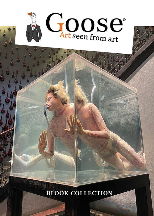 https://m.media-amazon.com/images/I/71NSXjViYVL.jpg
