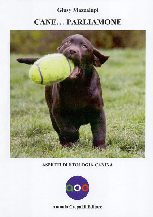 https://m.media-amazon.com/images/I/71OIwUmrvUL.jpg