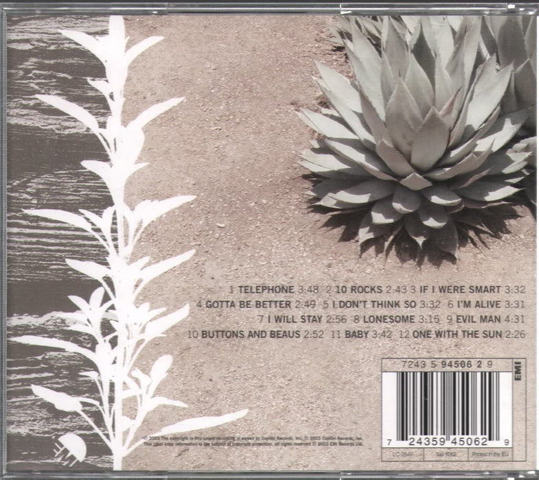 Shelby Lynne - Identity Crisis;