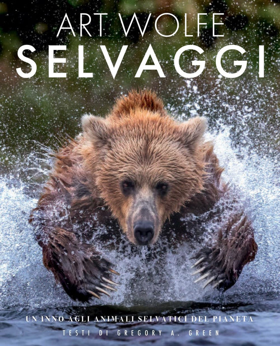 https://m.media-amazon.com/images/I/71Oa-oIIULL.jpg