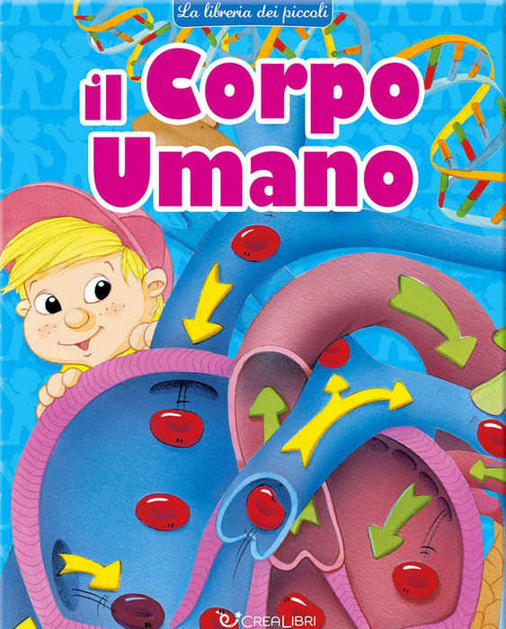 https://m.media-amazon.com/images/I/71PVVGQsQhL.jpg
