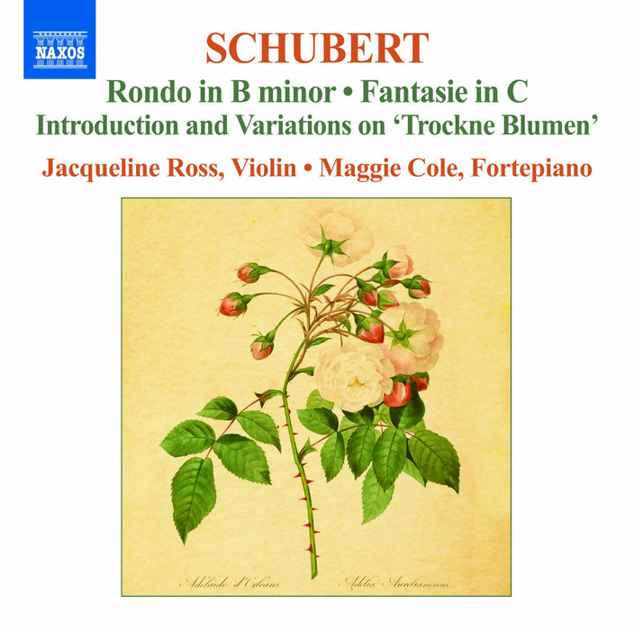 Franz Schubert - Complete Works for Violin and Fortepiano, Vol. 2;