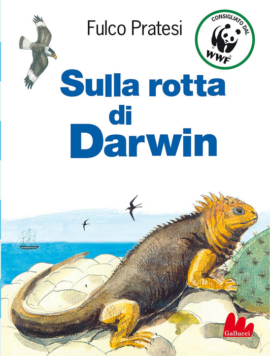 https://m.media-amazon.com/images/I/71QGPOSIj4L.jpg