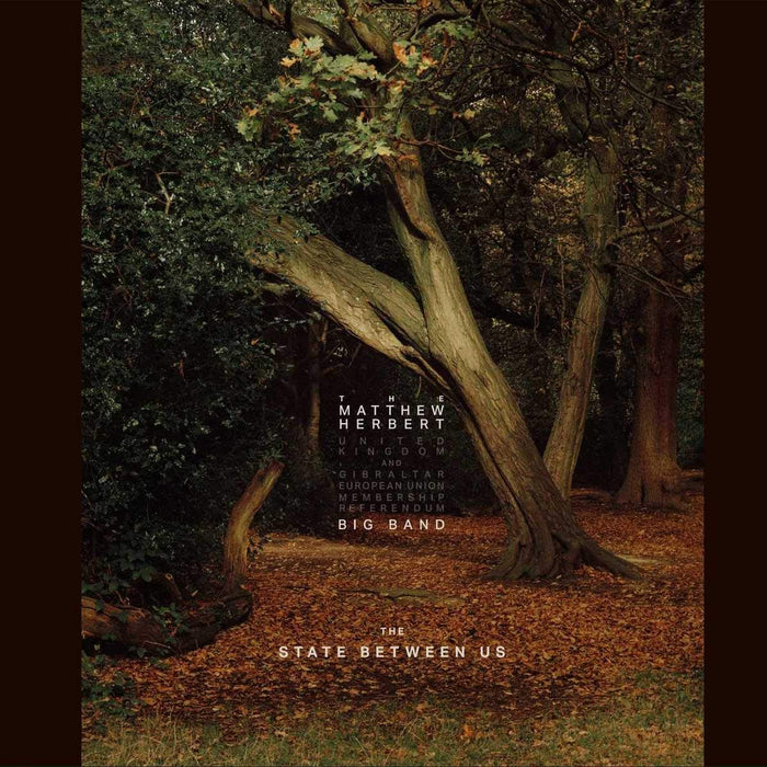Matthew Herbert Big Band - The State Between Us (2 Cd);