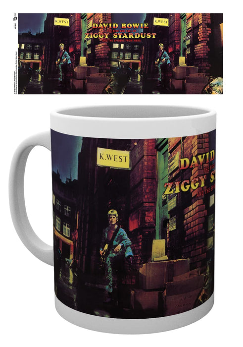 https://m.media-amazon.com/images/I/71R2urh+diL.jpg