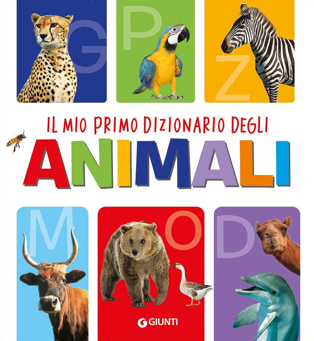https://m.media-amazon.com/images/I/71RAF2MKveL.jpg