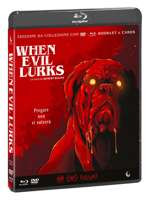 https://m.media-amazon.com/images/I/71RWWoVJJeL.jpg